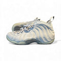 Foamposite One Wolf Grey Suede