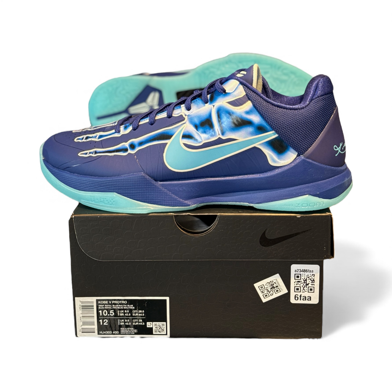 Kobe 5 X-Ray